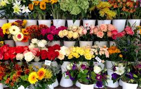 Tiệm hoa tươi Tam Kỳ - Chất lượng đảm bảo, uy tín