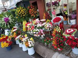 Cửa hàng hoa tươi tại Đăk Lăk - Sắc màu thiên nhiên