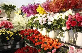Điểm đến hoa tươi Tây Ninh | Dịch vụ điện hoa uy tín