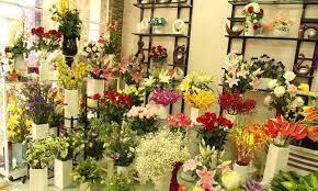 Cửa hàng hoa Ninh Thuận – Tươi tinh khôi, đa dạng mẫu mã