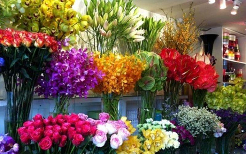 Shop hoa tươi đẹp Bạc Liêu - Gửi gắm yêu thương