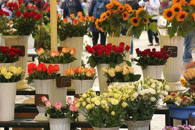 Cửa hàng hoa tươi Cao Lãnh - Thiên đường hoa tươi