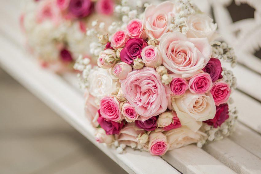 Hoa hồng phấn: Ý nghĩa sâu sắc và tinh tế của màu sắc