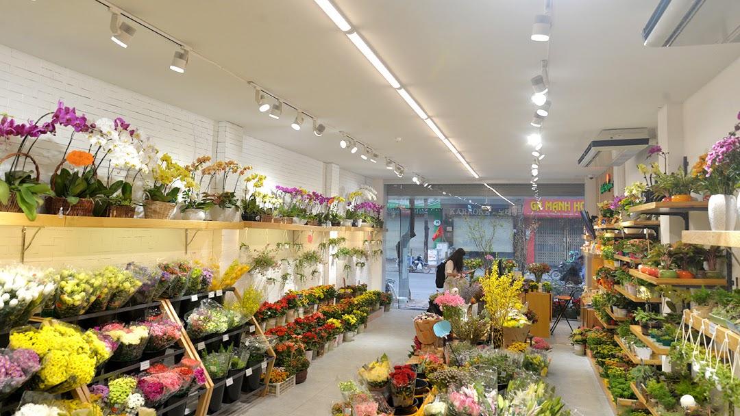 Tiệm hoa Tuyên Quang - Hương thơm tỏa khắp phố phường