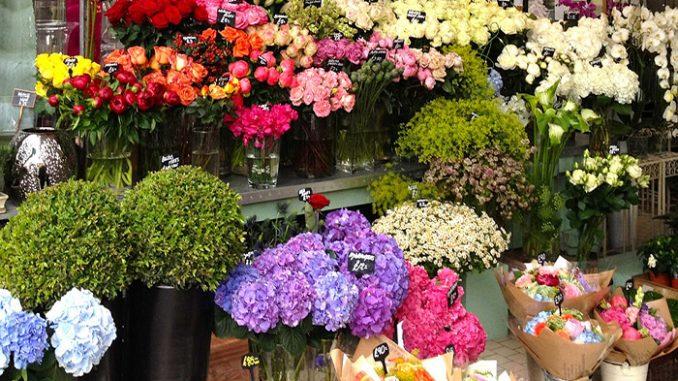 Cửa hàng hoa tươi Hải Dương - Nơi thăng hoa sắc màu