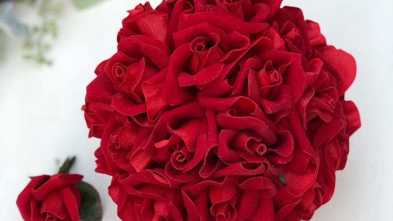 Những ý nghĩa ẩn sau hoa Hồng Nhung đỏ mà bạn cần biết